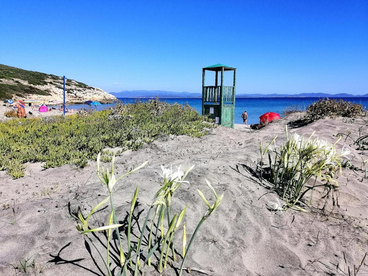 B&B Glamping Semaforo Capo Sperone Sant'Antioco Exterior photo
